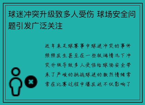 球迷冲突升级致多人受伤 球场安全问题引发广泛关注
