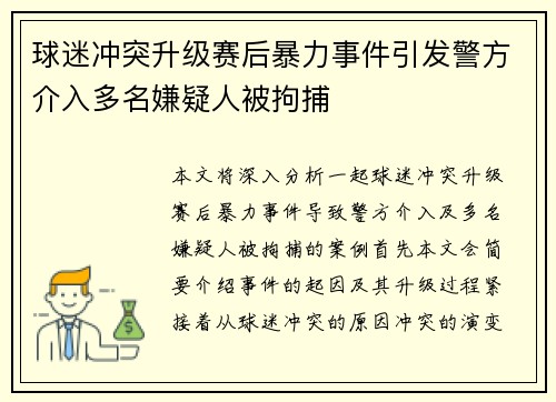 球迷冲突升级赛后暴力事件引发警方介入多名嫌疑人被拘捕
