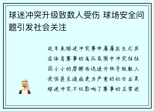 球迷冲突升级致数人受伤 球场安全问题引发社会关注